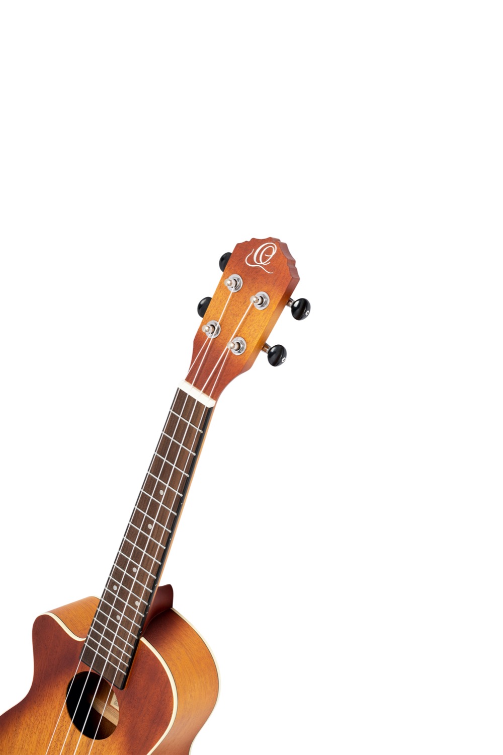 ORTEGA RUDAWN-CE-L - 6