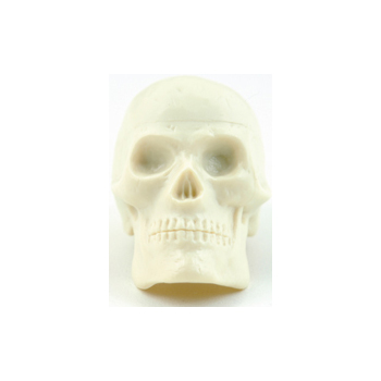 Grover Trophy Beadbrain Glow Shaker - 2