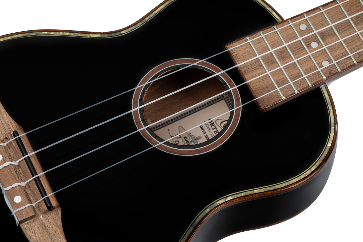 ORTEGA RUOX-SO - 2