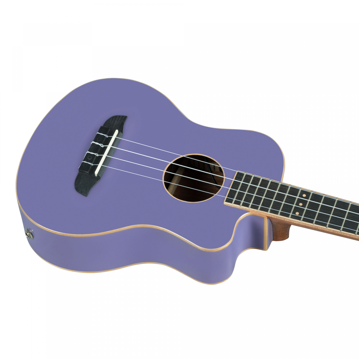 ORTEGA RUHZT-CE-VP - 2