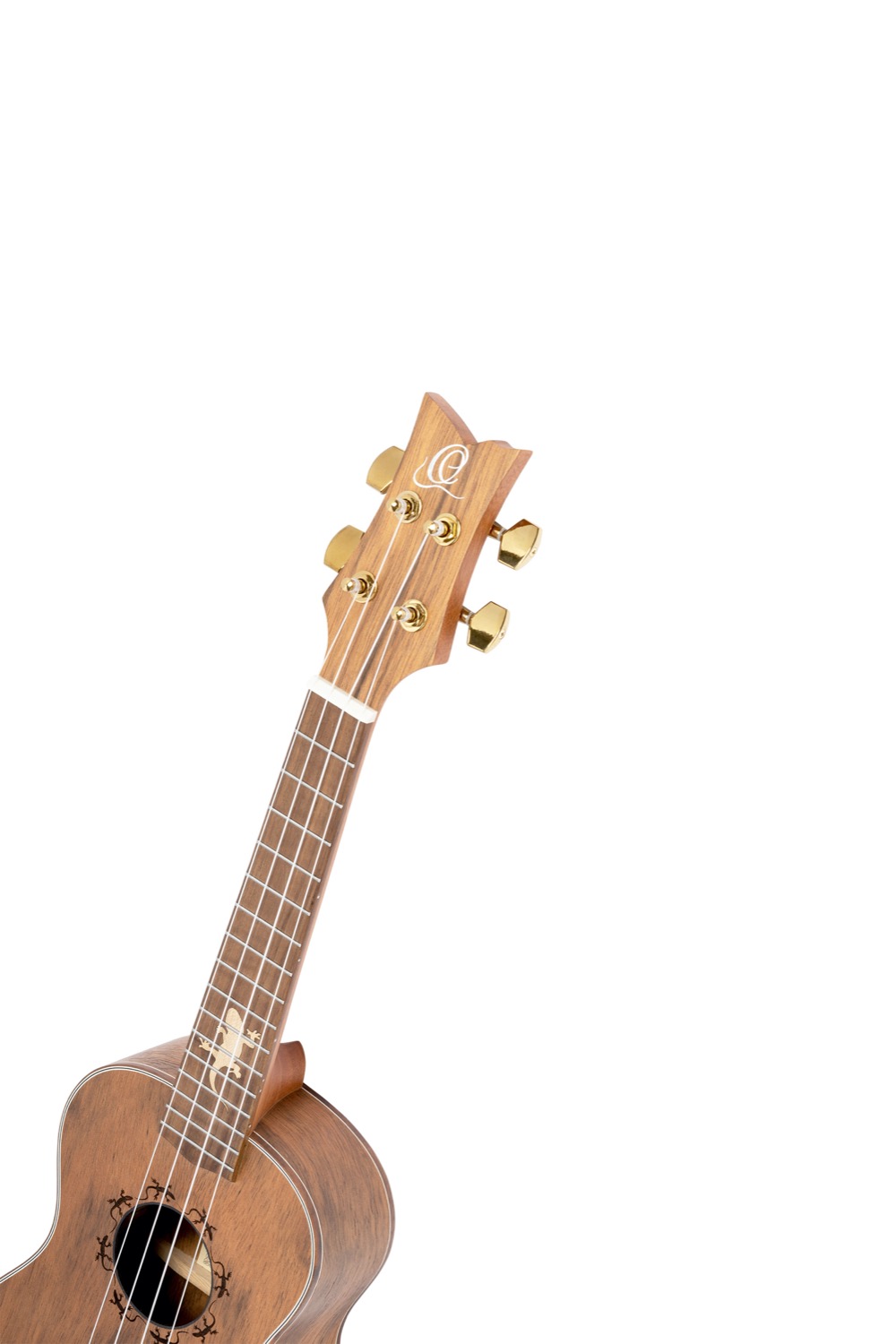 ORTEGA LIZARD-CC-GBL - 6