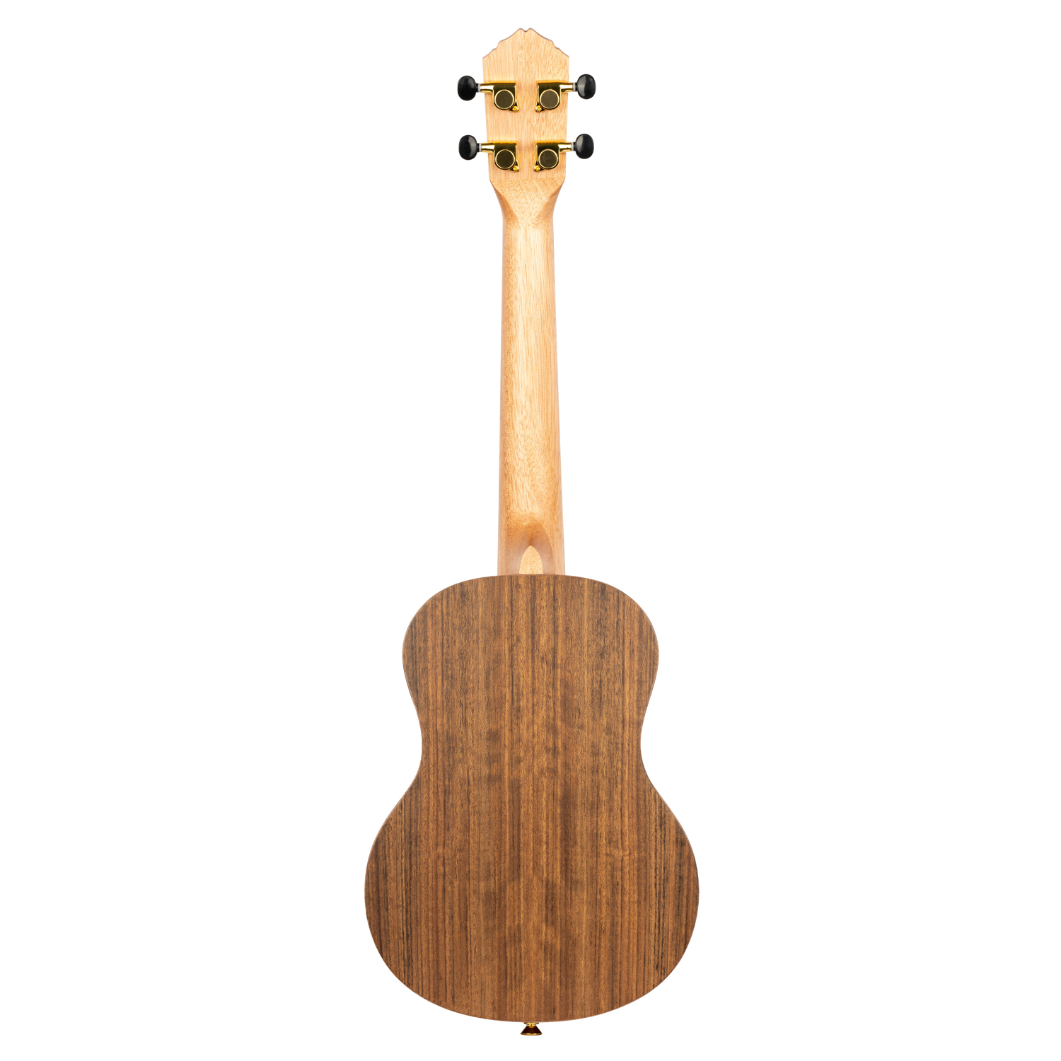 ORTEGA RUTI-TE - 4