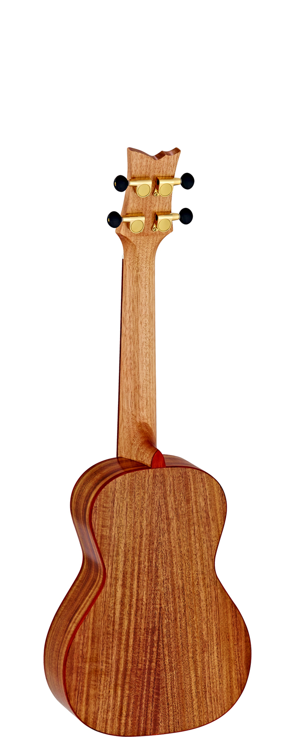 ORTEGA RUACA-CC - 2
