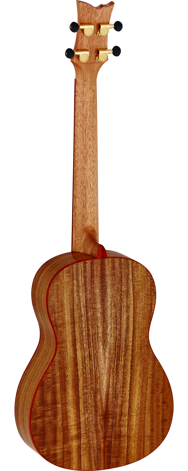 ORTEGA RUACA-BA - 2