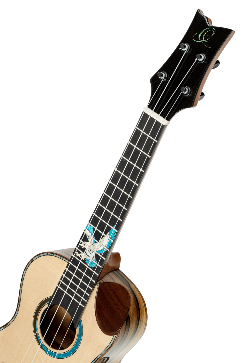 ORTEGA EAGLESUITE-U - 6