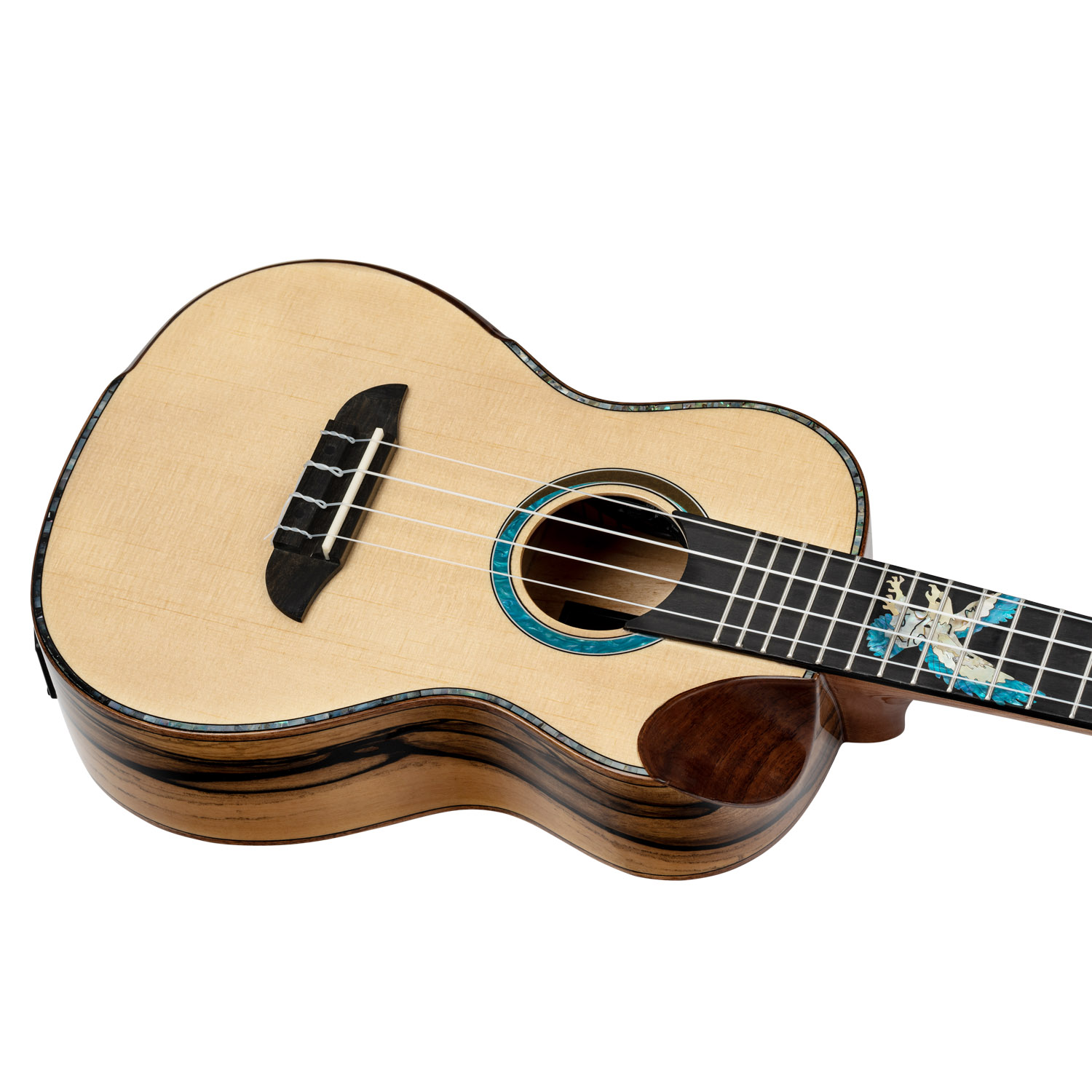 ORTEGA EAGLESUITE-U - 3