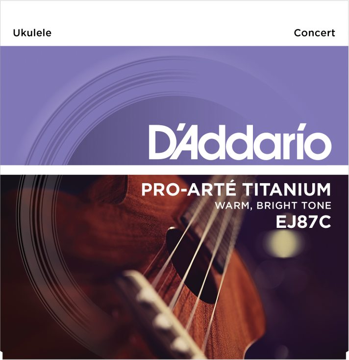 D'Addario EJ87C