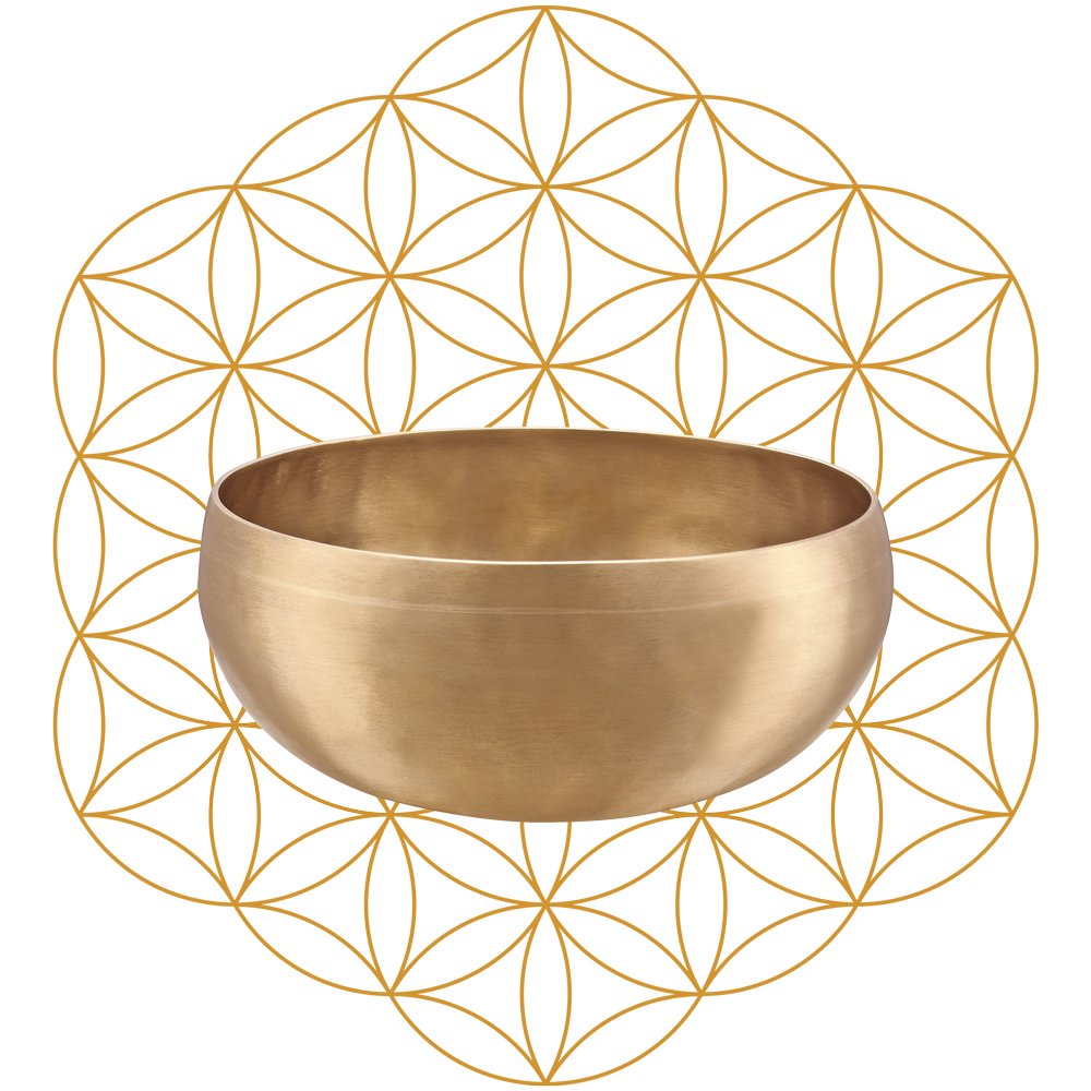 Meinl Sonic Energy SB-S-FOL-1000 Singing Bowls / Sjungande Skålar