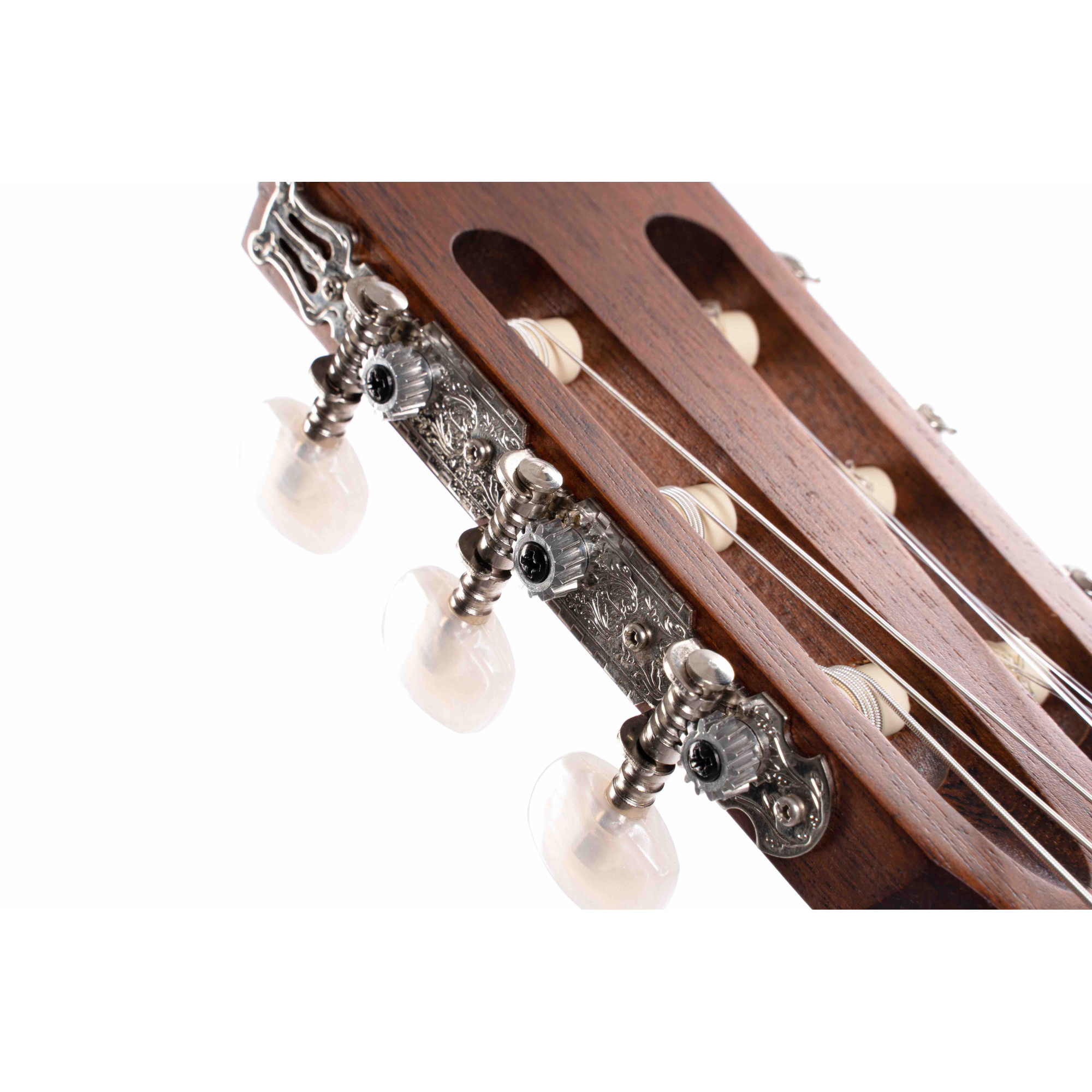 Cort AC100 OP - 2