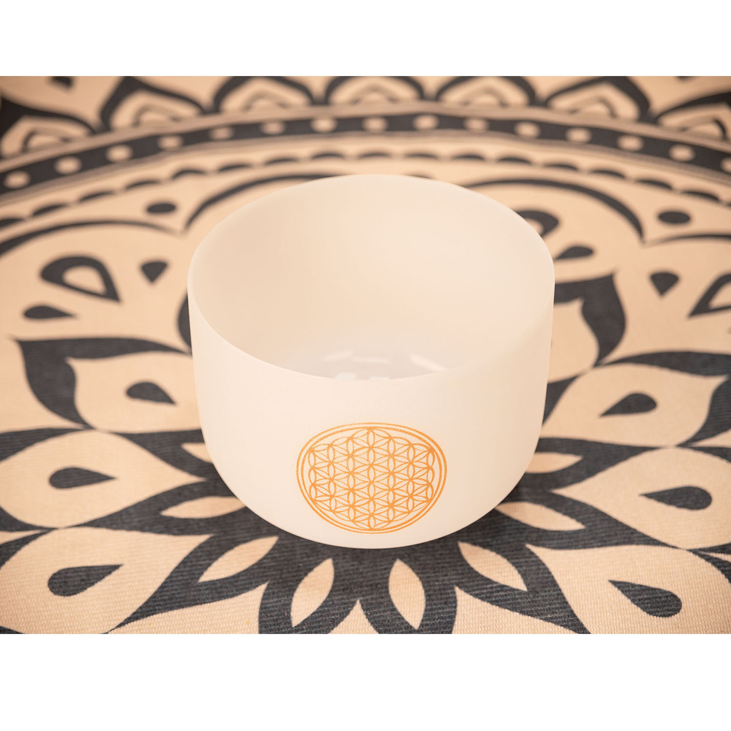Meinl Sonic Energy PCSB10FOL Singing Bowls / Sjungande Skålar - 3