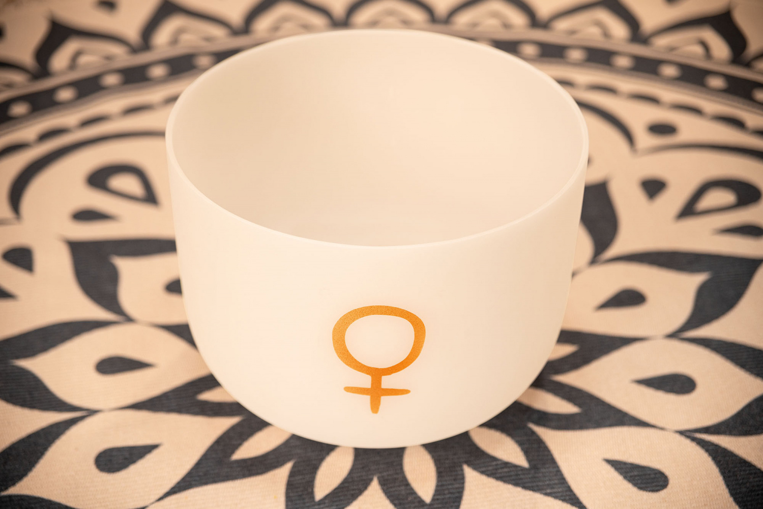 Meinl Sonic Energy PCSB12V Singing Bowls / Sjungande Skålar - 2