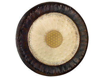 Meinl Sonic Energy G36-FOL Gongs / Tam Tams