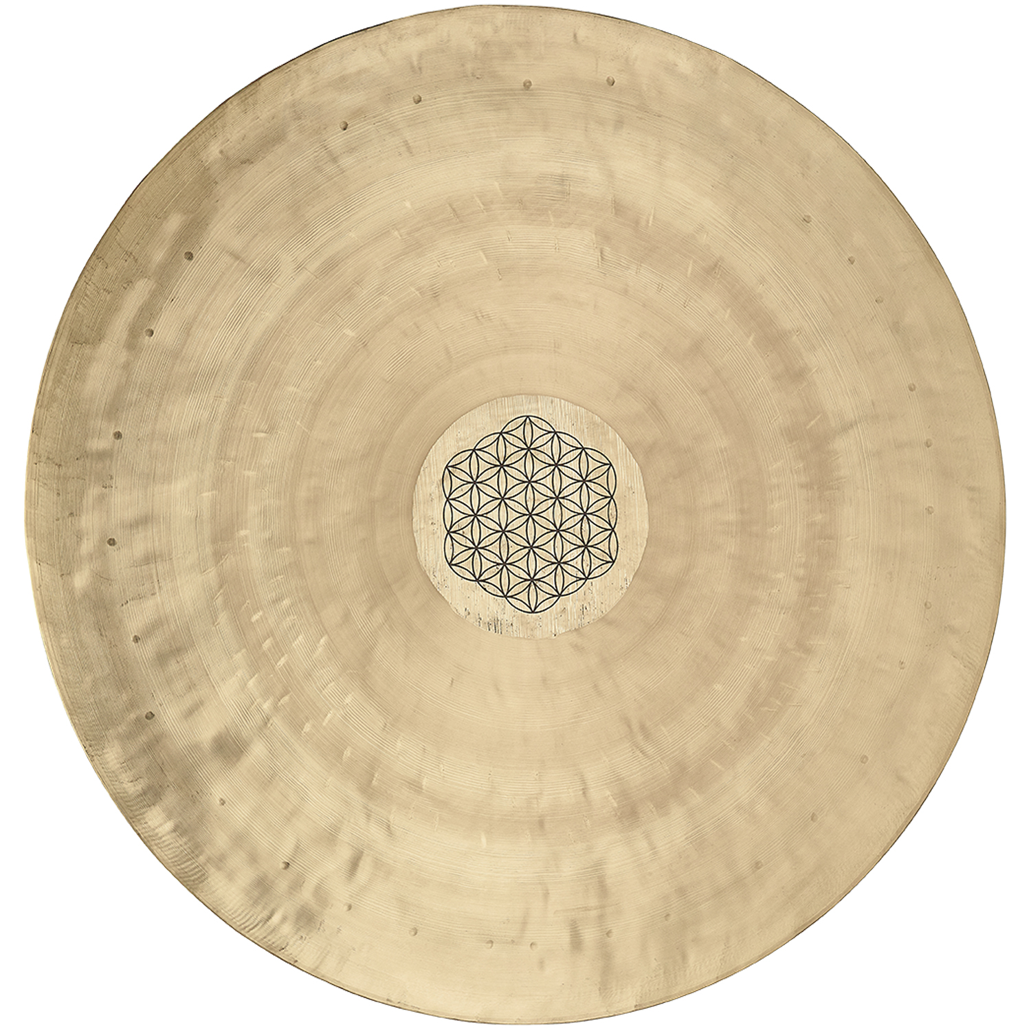 Meinl Sonic Energy WGFOL24 Gongs / Tam Tams
