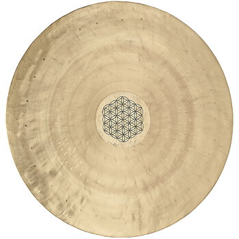 Meinl Sonic Energy WGFOL24 Gongs / Tam Tams