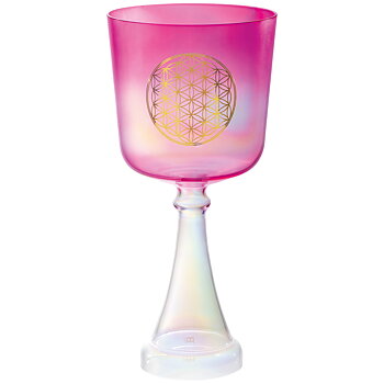 Meinl Sonic Energy CSC6FPFOL Singing Chalices