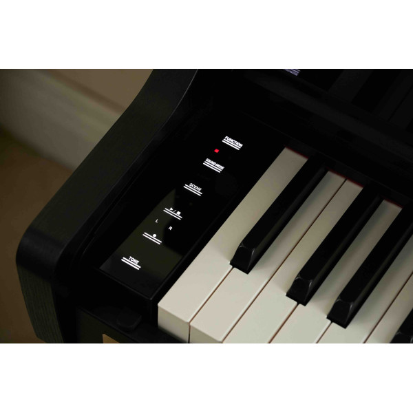 Casio AP-750 BK Smart Hybrid Celviano - 22
