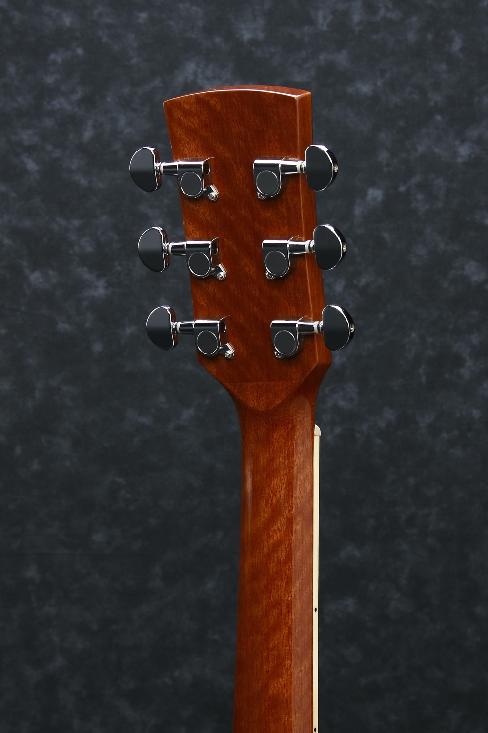 Ibanez PF15ECE-NT - 4