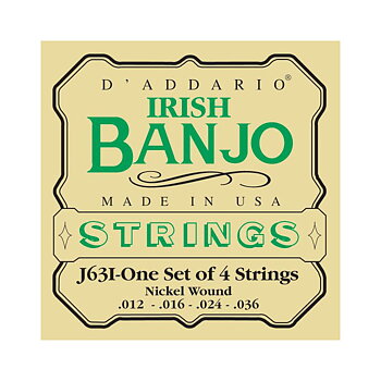 D'Addario EJ63i Tenorbanjo