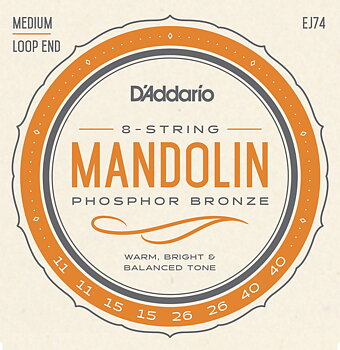D'Addario EJ74