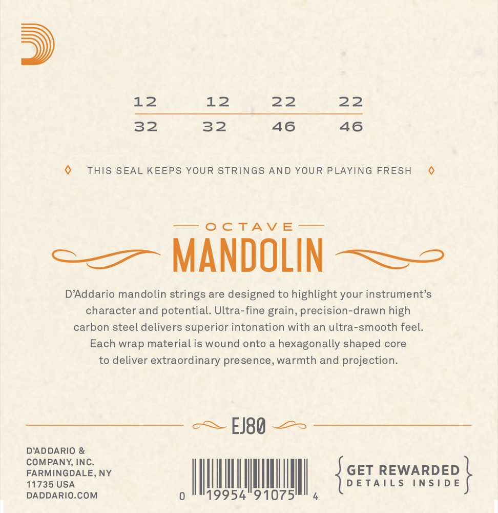 D'Addario EJ80 Oktavmandolin - 3