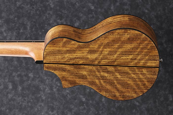 Ibanez EWP14WB-OPN Piccolo - 3