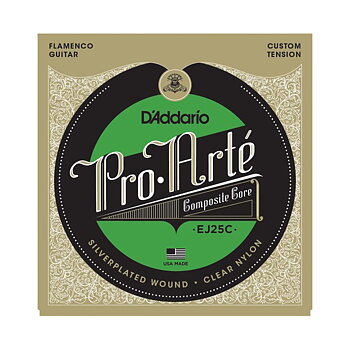 D'Addario EJ25C