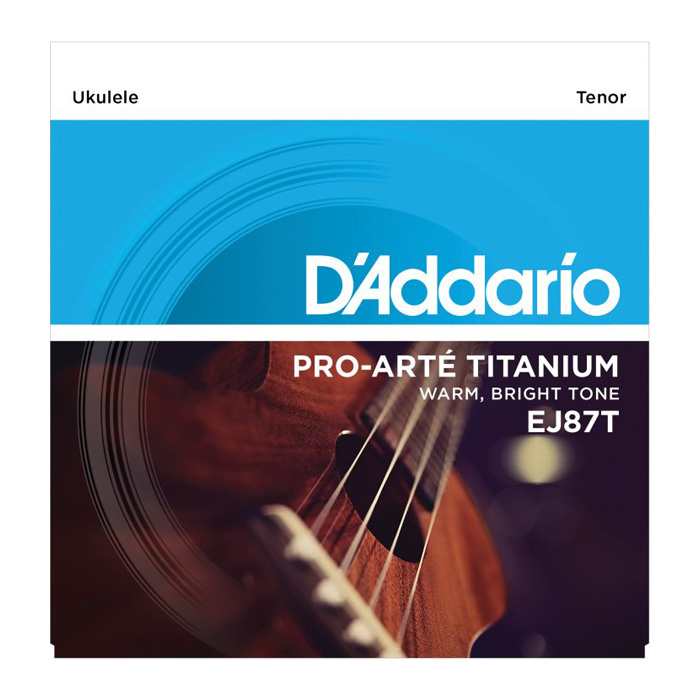 D'Addario EJ87T