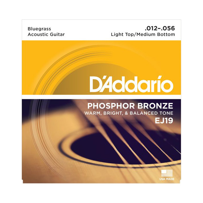 D'Addario EJ19