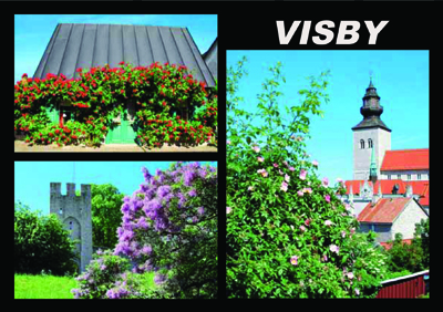 8199 Vykort 10x15cm 100st/fp 