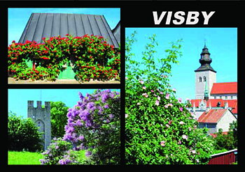 8199 Vykort 10x15cm 100st/fp 