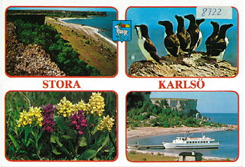 8722 Vykort 10x15cm 100st/fp 