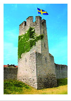 501 Vykort 15x21cm 25st/fp 