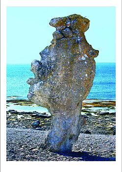 509 Vykort 15x21cm 25st/fp 