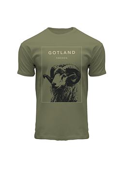 T-shirt Gotland Olive Square Small 3st/fp