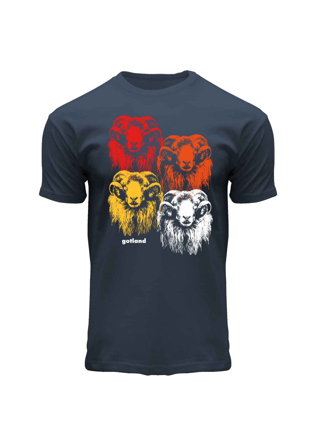 T-shirt Gotland Blå Ram Colours X-Large 3st/fp