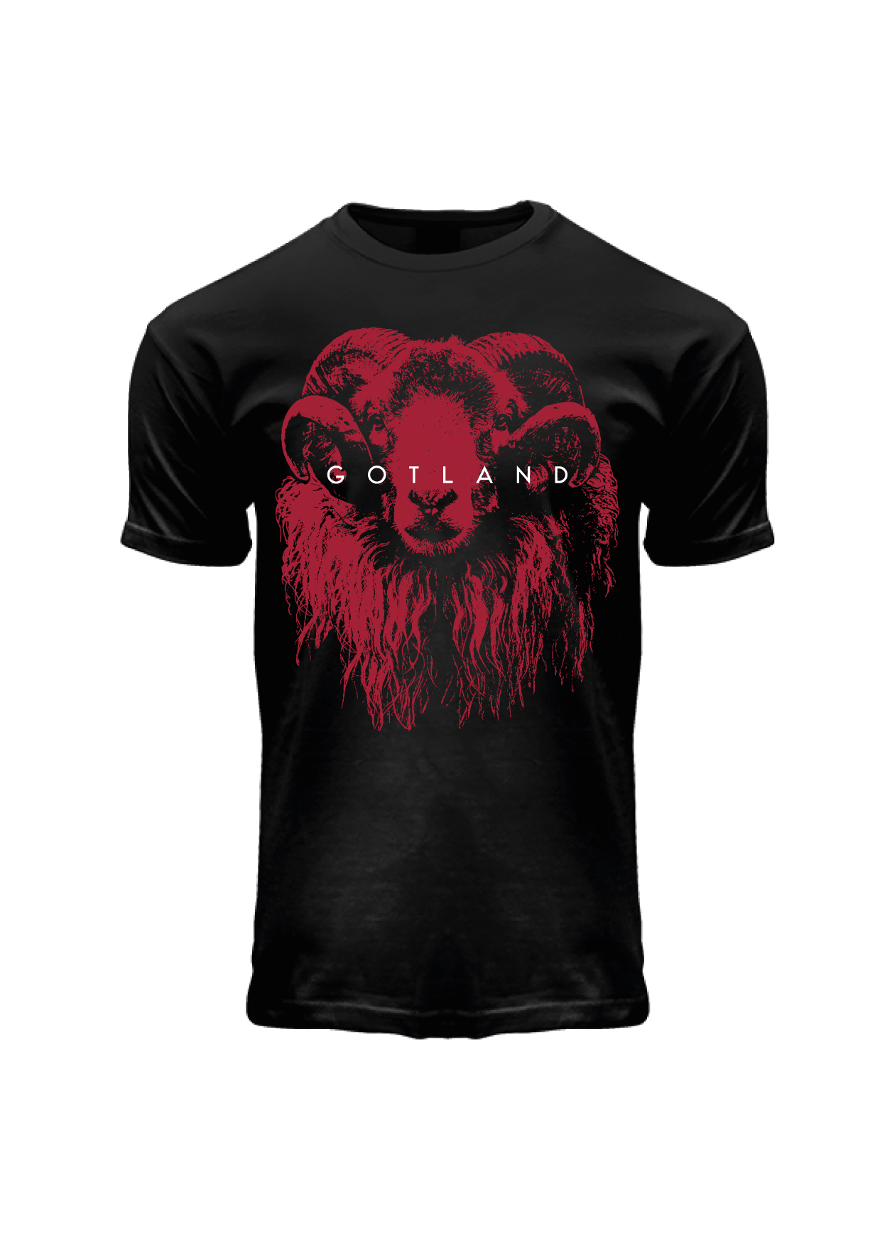 T-shirt Gotland Svart Vector Ram Small 3st/fp