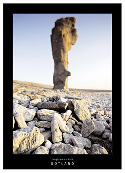 Poster Langhammars, Fårö 5st/fp 