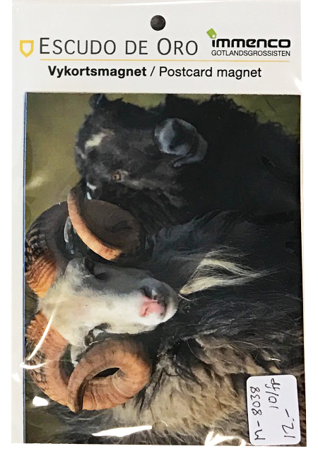 Vykortsmagnet m. Gotlandsmotiv 10st/fp
