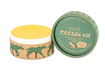 Kära hund