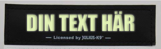  Egen text- Kardborredekaler tilll Julius-K9 sele och halsband - 20