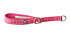 Ruby (Cerise-Rosa) - 25-35 cm