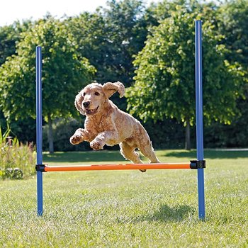 Agility Hopphinder - 123 x 115 x 3 cm