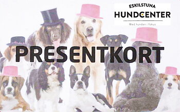 Presentkort 300:-
