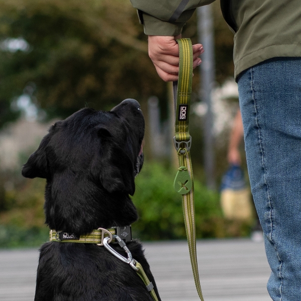 Dog Copenhagen Flexy™ Bajspåsehållare - 6