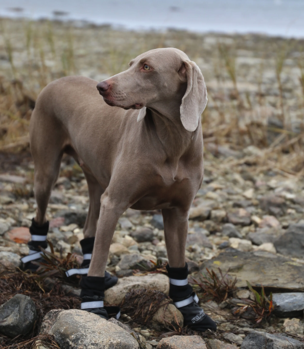Rukka Pets Thermal Winter Shoes - 2
