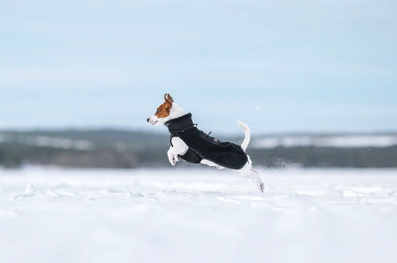 Rukka Pets Lucky x Fleece Jacket
