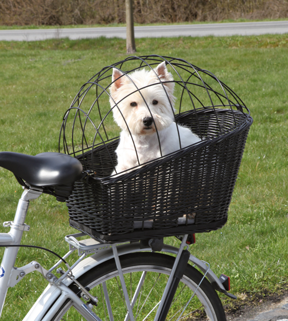 Cykelkorg pil med dyna och galler