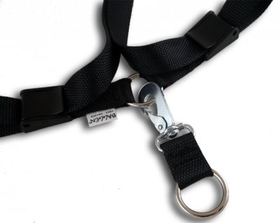 Baggen Swivel