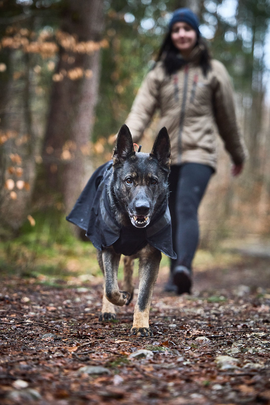 Non-Stop Trekking Dog Raincoat - Svart Regntäcke  - vattenpelare 10 000 mm - 5