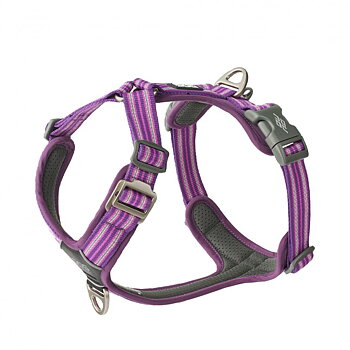 Dog Copenhagen Comfort Walk Air Sele 3.0 Purple Passion